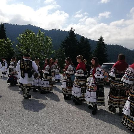 Ξενοδοχείο Μαγκιωση Neraïdochóri Kültér fotó